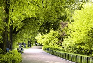 Panorama Raclawicka Park